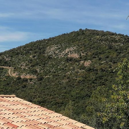 Tres Bel Appartement T3 Avec Splendide Vue Mer Les Issambres Dış mekan fotoğraf